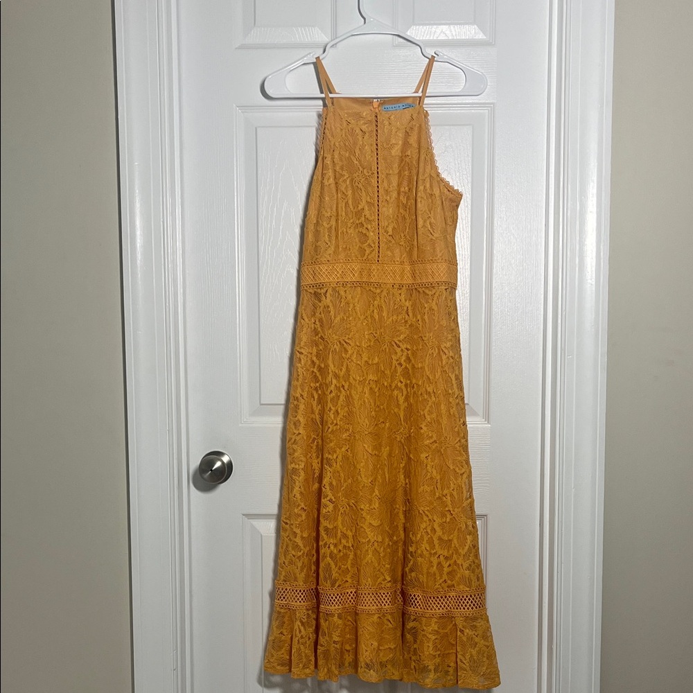 Antonio Melani Yellow Lace Dress